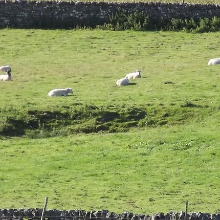 レイバーン Curlew Barn Bed & Breakfast エクステリア 写真