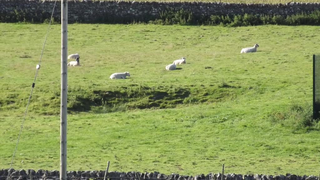 レイバーン Curlew Barn Bed & Breakfast エクステリア 写真