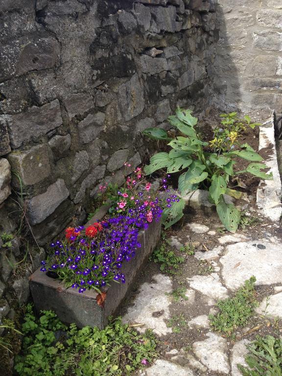 レイバーン Curlew Barn Bed & Breakfast エクステリア 写真
