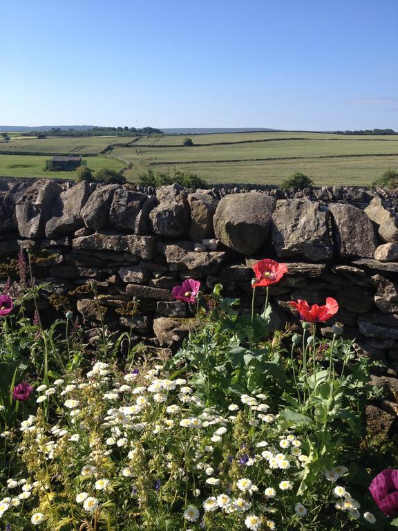 レイバーン Curlew Barn Bed & Breakfast エクステリア 写真