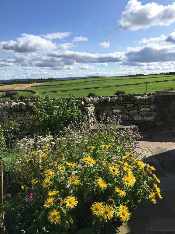 レイバーン Curlew Barn Bed & Breakfast エクステリア 写真